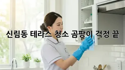 신림동 테라스 청소, 곰팡이 걱정 끝!