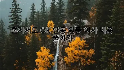 혼자서도 OK! 안동 원룸 이사 비용 줄이기
