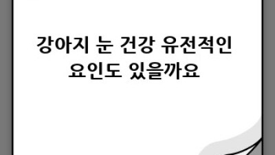 우리 댕댕이 눈 건강 👀 꿀팁 대방출! #강아지눈건강