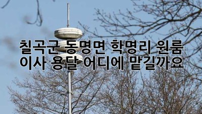 칠곡군 동명면 학명리 원룸 이사 용달, 어디에 맡길까요?
