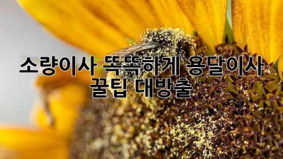 소량이사 똑똑하게! 용달이사 꿀팁 대방출 🍯